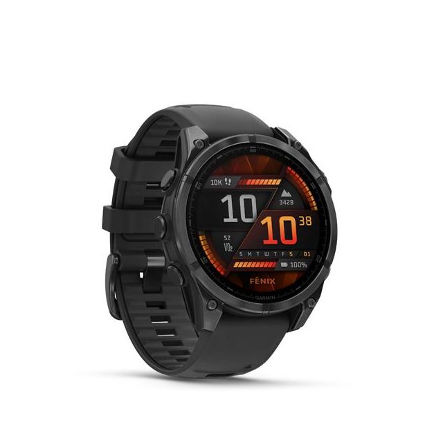 Garmin Fenix 8 AMOLED 47mm Gray / Black 010-02904-00